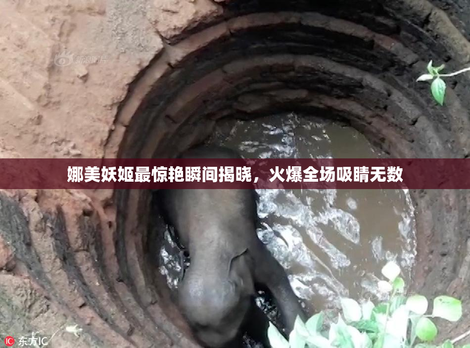 娜美妖姬最惊艳瞬间揭晓，火爆全场吸睛无数