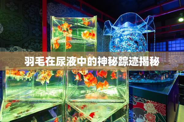 羽毛在尿液中的神秘踪迹揭秘
