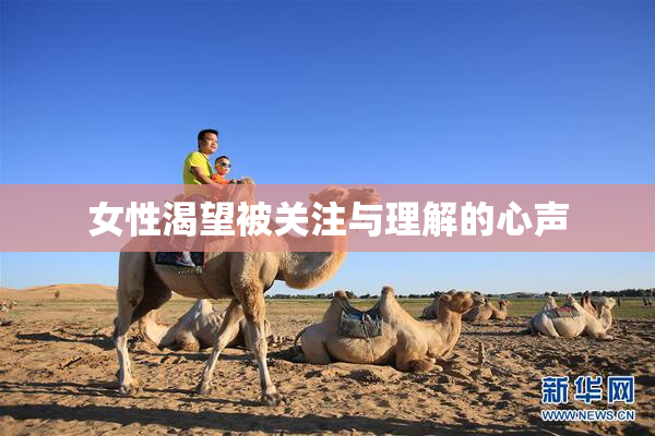 女性渴望被关注与理解的心声