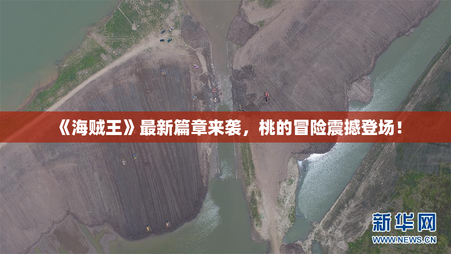《海贼王》最新篇章来袭，桃的冒险震撼登场！