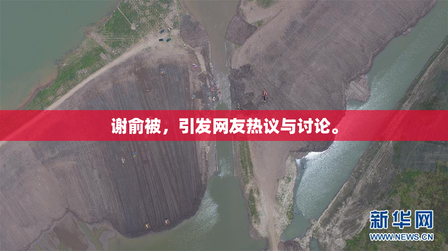 谢俞被，引发网友热议与讨论。