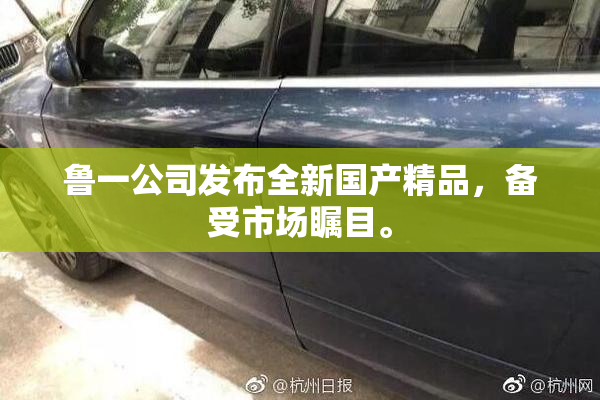 鲁一公司发布全新国产精品，备受市场瞩目。