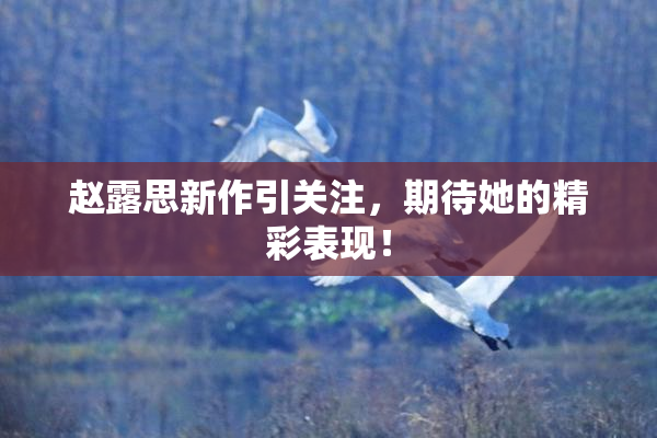 赵露思新作引关注，期待她的精彩表现！