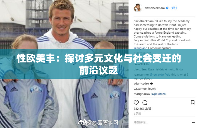 性欧美丰：探讨多元文化与社会变迁的前沿议题