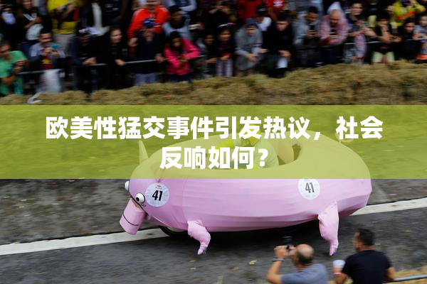 欧美性猛交事件引发热议，社会反响如何？