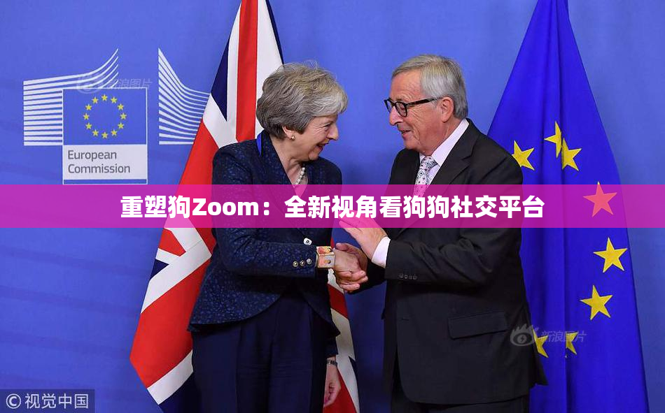 重塑狗Zoom：全新视角看狗狗社交平台