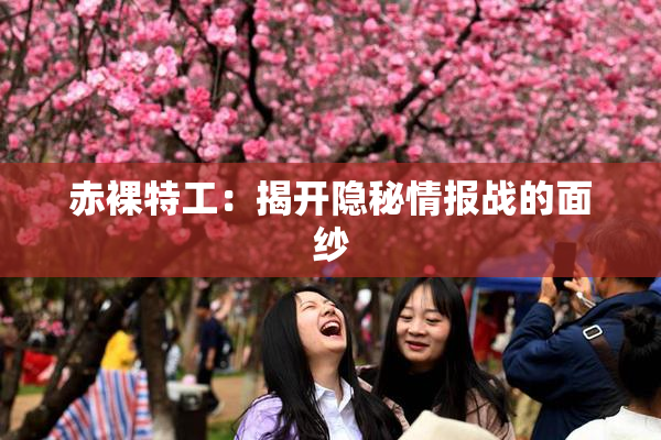 赤裸特工：揭开隐秘情报战的面纱