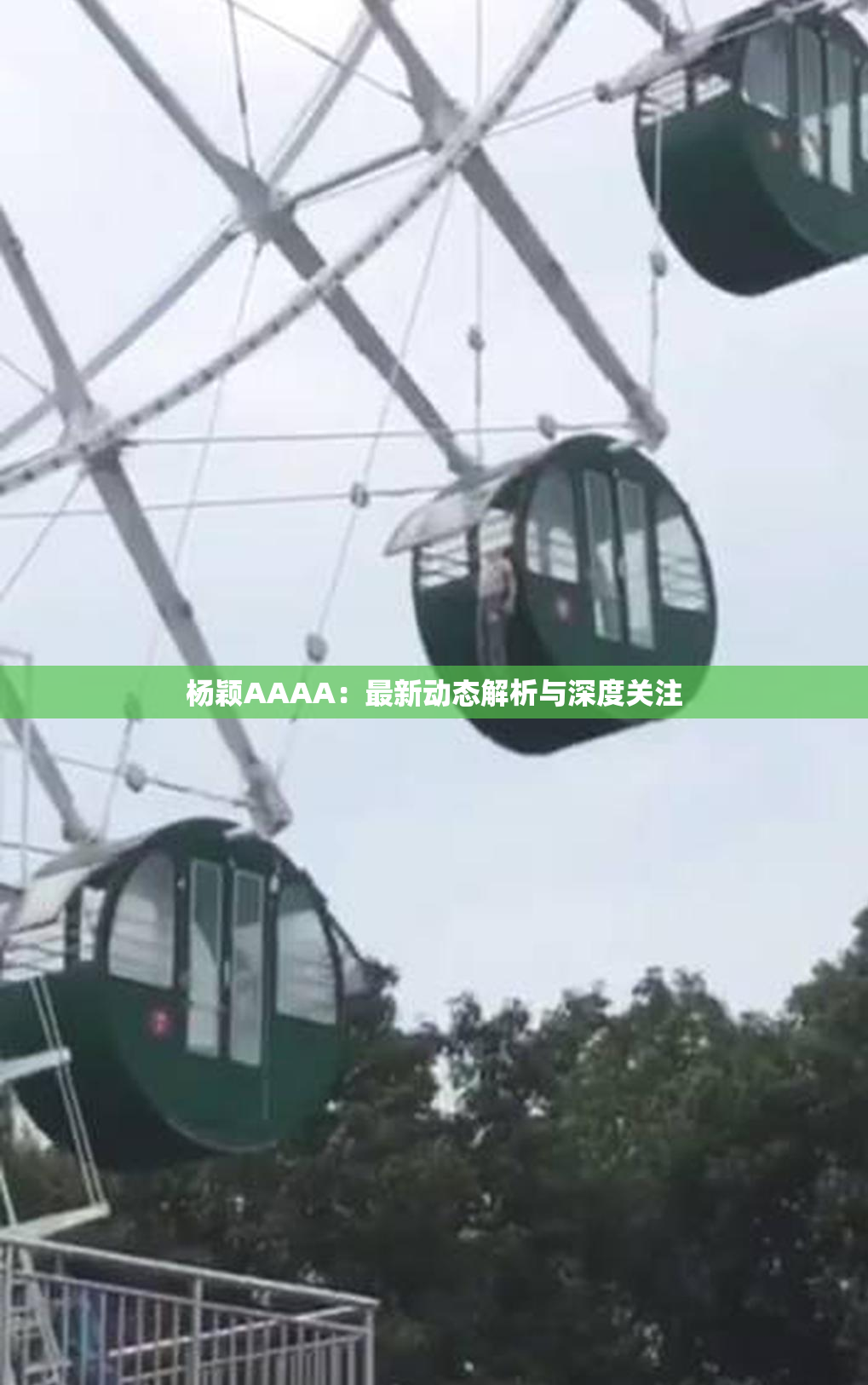 杨颖AAAA：最新动态解析与深度关注