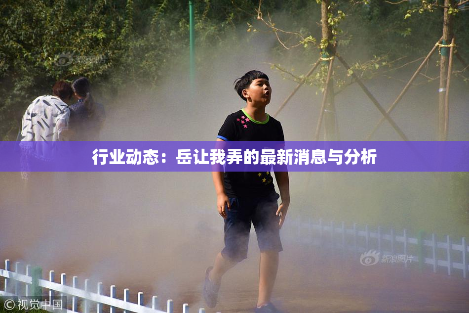 行业动态：岳让我弄的最新消息与分析