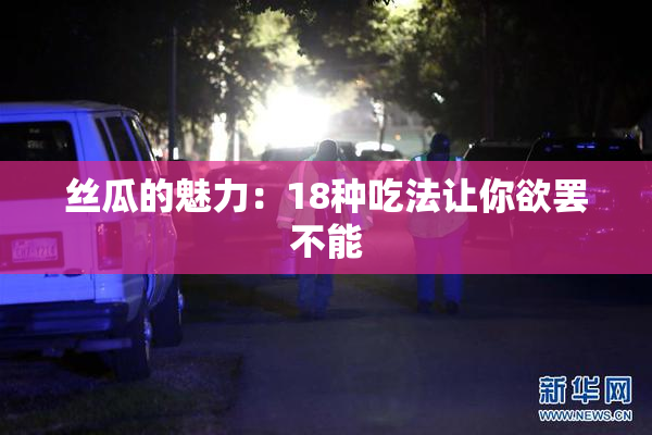 丝瓜的魅力：18种吃法让你欲罢不能
