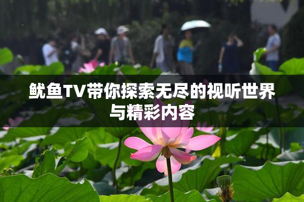 鱿鱼TV带你探索无尽的视听世界与精彩内容