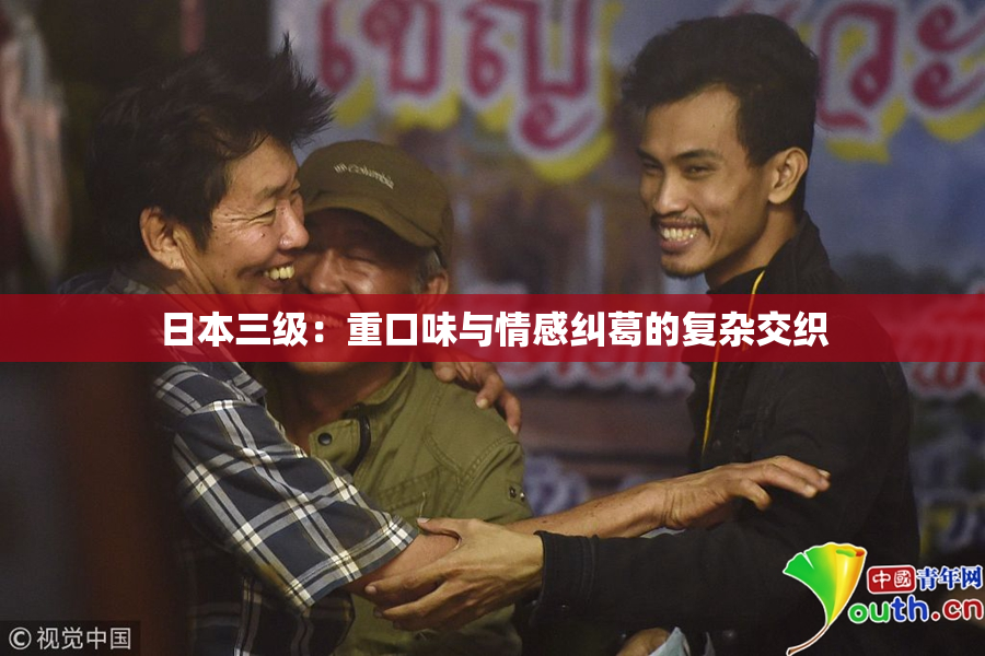 日本三级：重口味与情感纠葛的复杂交织