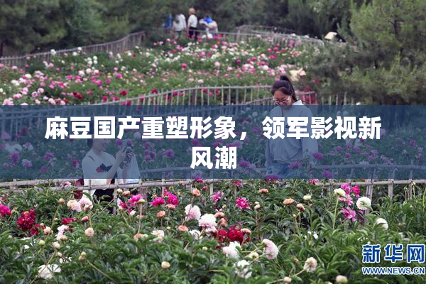 麻豆国产重塑形象，领军影视新风潮