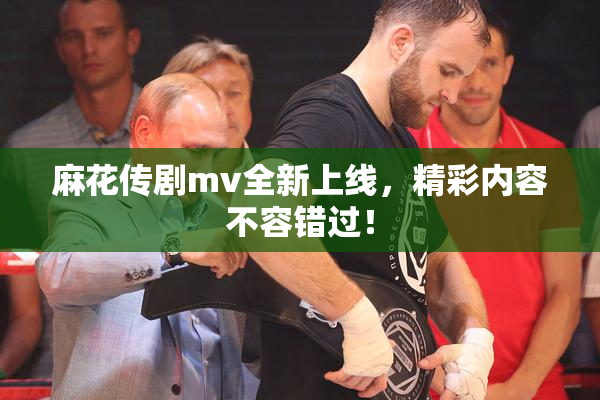 麻花传剧mv全新上线，精彩内容不容错过！