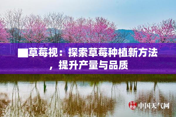 ▇草莓视：探索草莓种植新方法，提升产量与品质