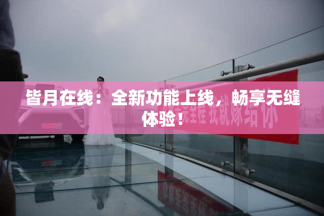 皆月在线：全新功能上线，畅享无缝体验！