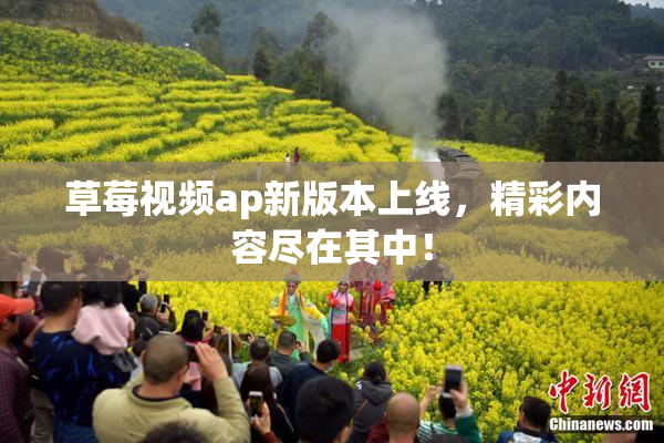 草莓视频ap新版本上线，精彩内容尽在其中！