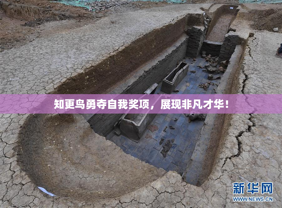 知更鸟勇夺自我奖项，展现非凡才华！