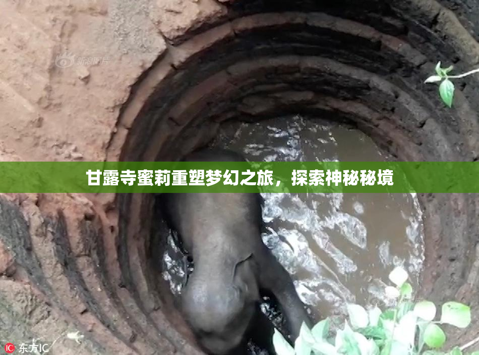 甘露寺蜜莉重塑梦幻之旅，探索神秘秘境