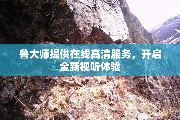 鲁大师提供在线高清服务，开启全新视听体验