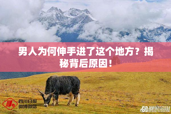 男人为何伸手进了这个地方？揭秘背后原因！