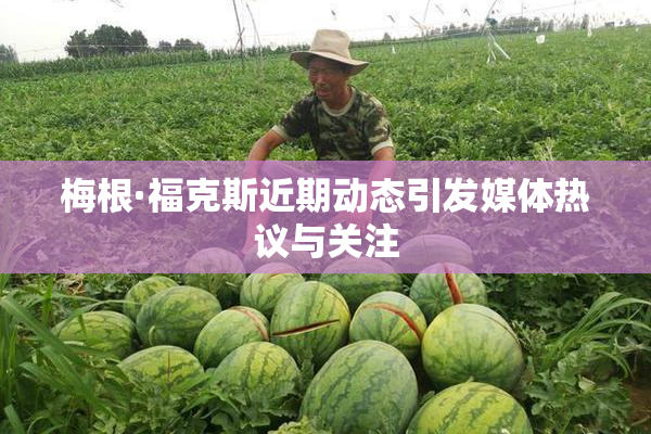 梅根·福克斯近期动态引发媒体热议与关注