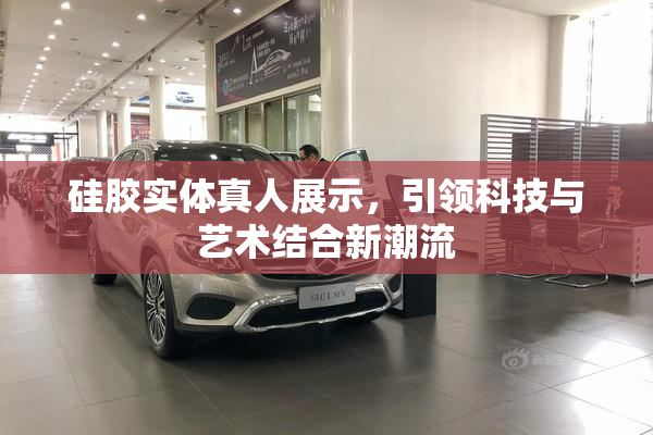 硅胶实体真人展示，引领科技与艺术结合新潮流