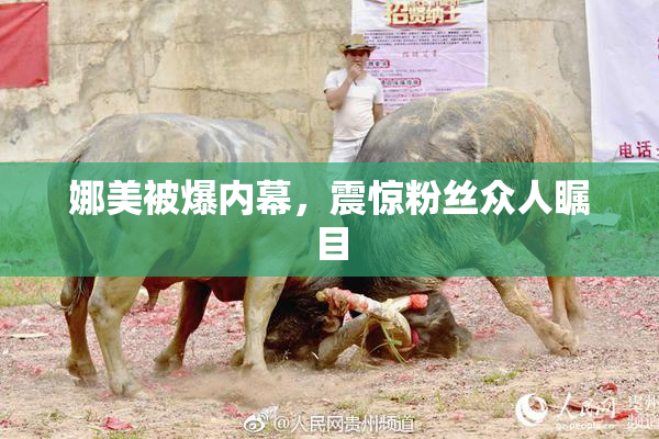 娜美被爆内幕，震惊粉丝众人瞩目
