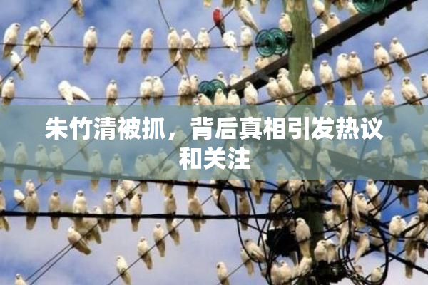 朱竹清被抓，背后真相引发热议和关注
