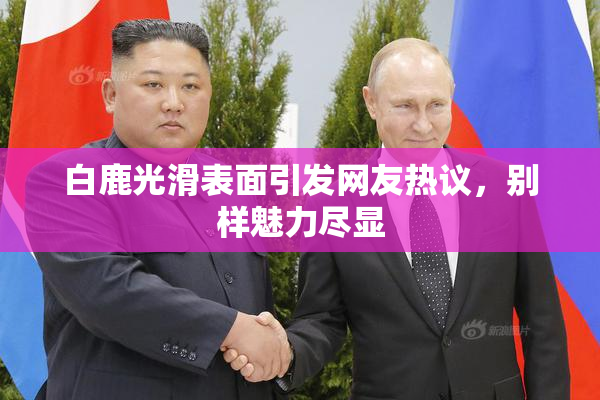 白鹿光滑表面引发网友热议，别样魅力尽显