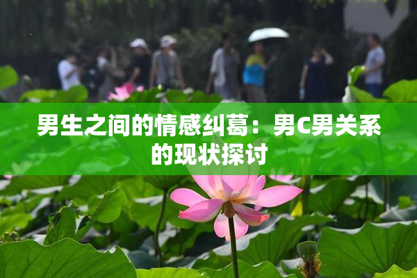 男生之间的情感纠葛：男C男关系的现状探讨