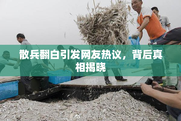 散兵翻白引发网友热议，背后真相揭晓