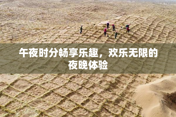 午夜时分畅享乐趣，欢乐无限的夜晚体验