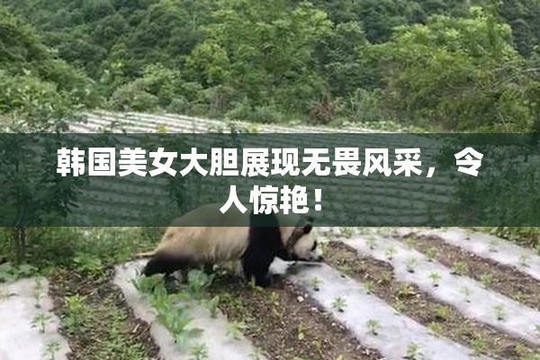 韩国美女大胆展现无畏风采，令人惊艳！