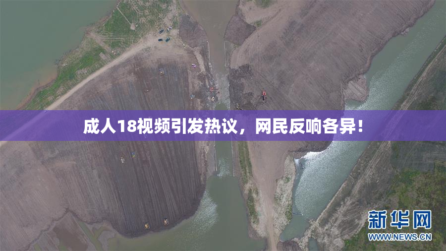 成人18视频引发热议，网民反响各异！