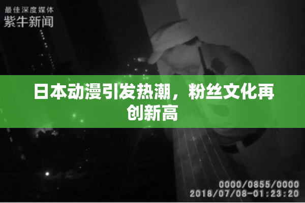 日本动漫引发热潮，粉丝文化再创新高