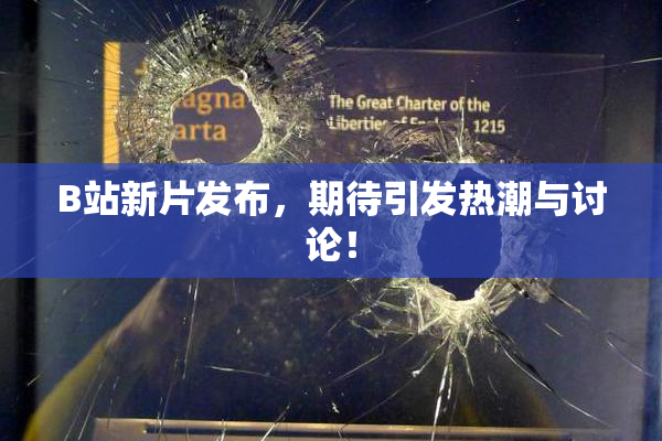 B站新片发布，期待引发热潮与讨论！