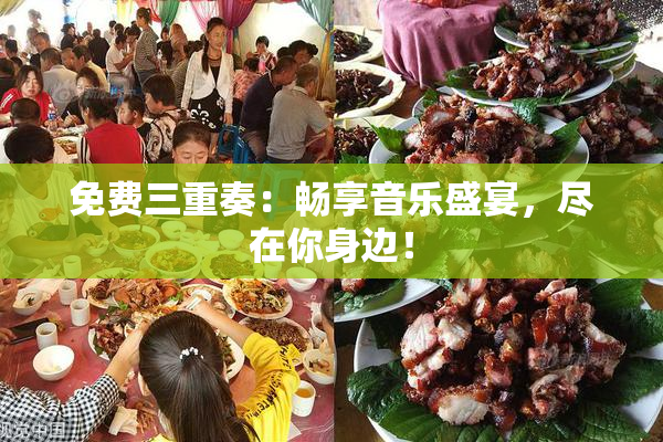 免费三重奏：畅享音乐盛宴，尽在你身边！