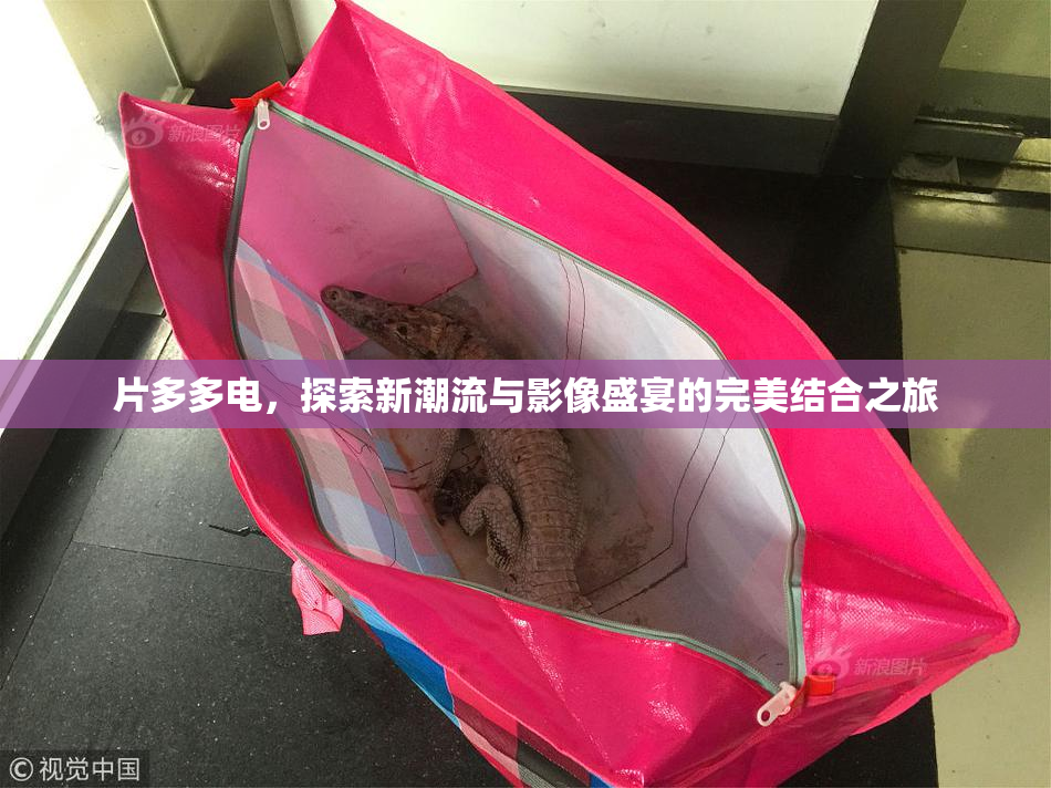 片多多电，探索新潮流与影像盛宴的完美结合之旅