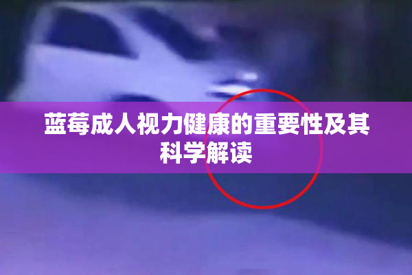 蓝莓成人视力健康的重要性及其科学解读