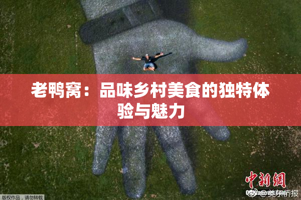 老鸭窝：品味乡村美食的独特体验与魅力