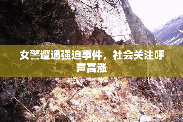 女警遭遇强迫事件，社会关注呼声高涨