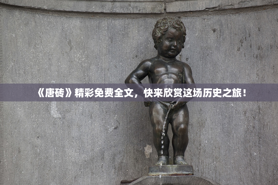 《唐砖》精彩免费全文，快来欣赏这场历史之旅！