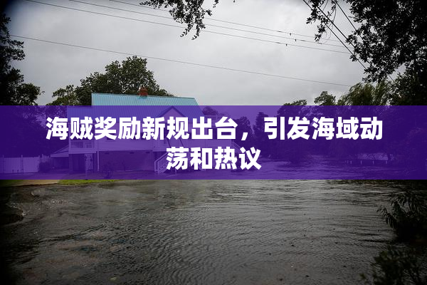 海贼奖励新规出台，引发海域动荡和热议