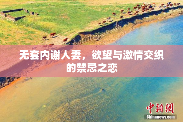无套内谢人妻，欲望与激情交织的禁忌之恋