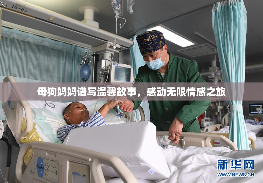 母狗妈妈谱写温馨故事，感动无限情感之旅