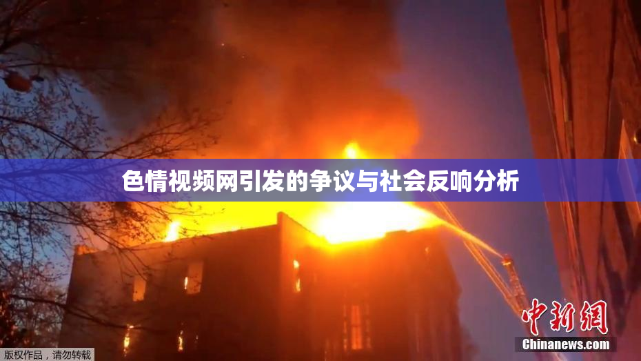 色情视频网引发的争议与社会反响分析