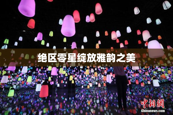 绝区零星绽放雅韵之美