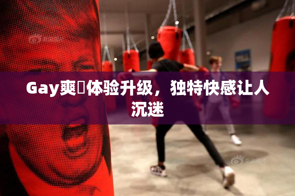 Gay爽擼体验升级，独特快感让人沉迷