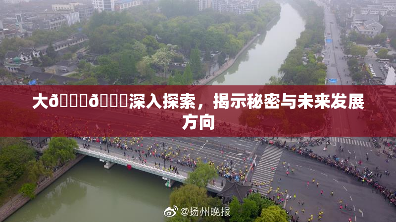 大🐔🐔深入探索，揭示秘密与未来发展方向
